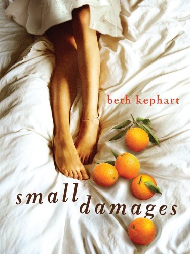 Cover of Small Damages