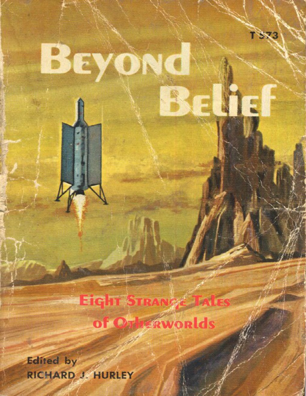 Cover of Richard J. Hurley (ed)
