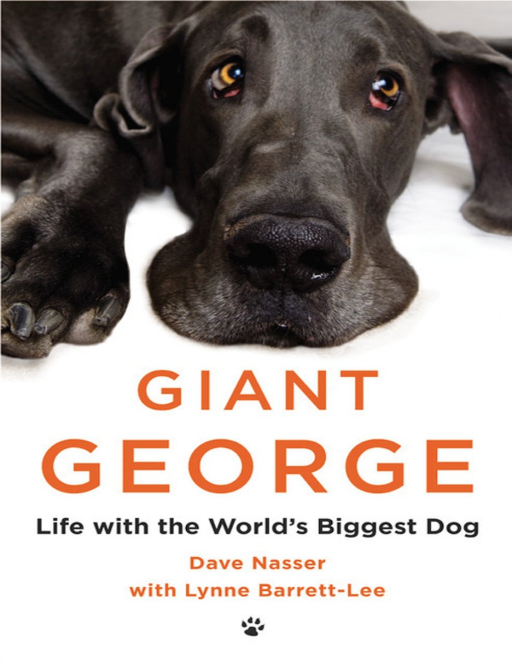 Cover of Giant George