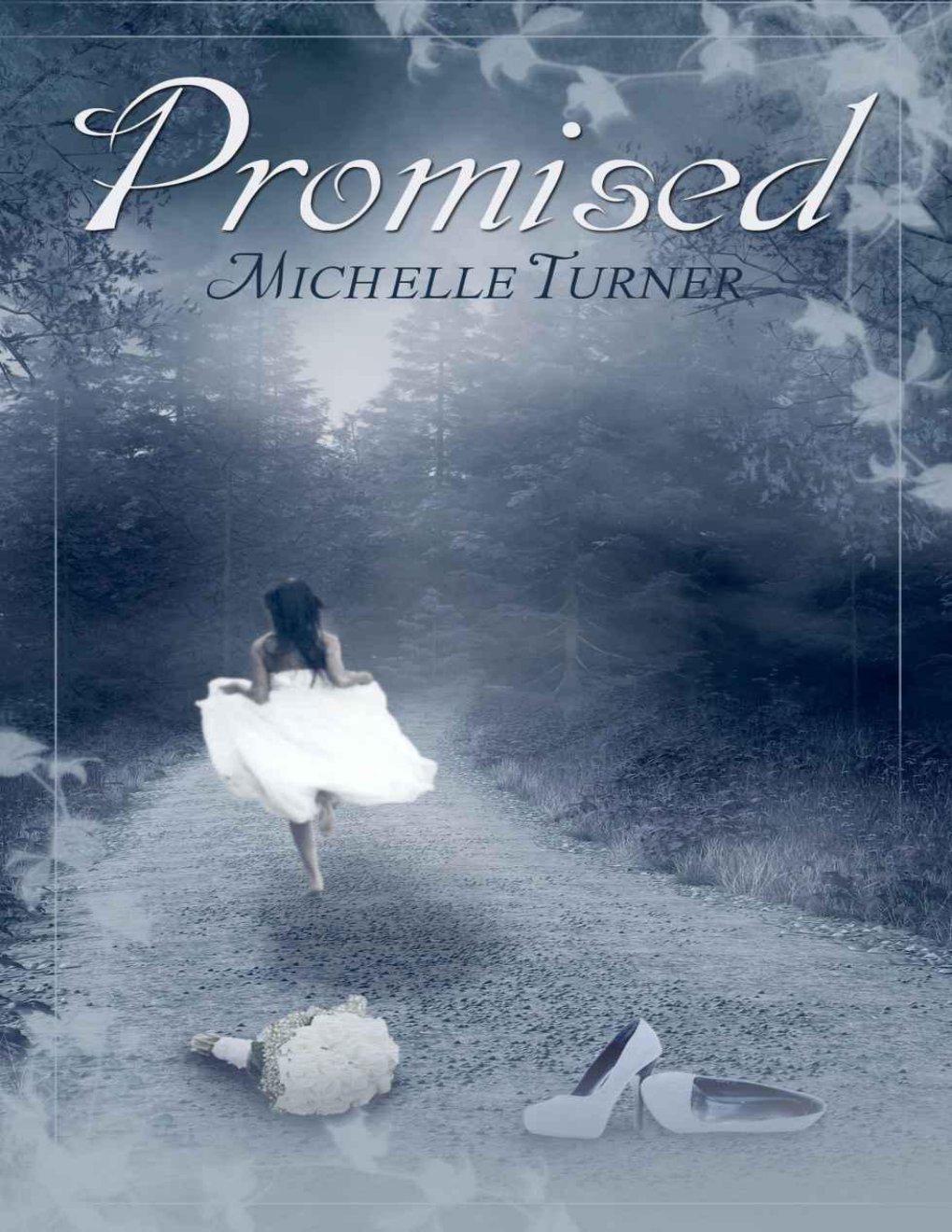 Cover of Promised (2013)