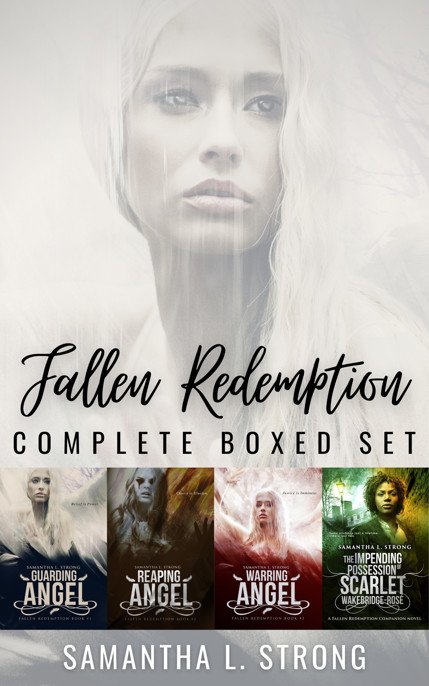 Cover of Fallen Redemption Complete Boxed Set