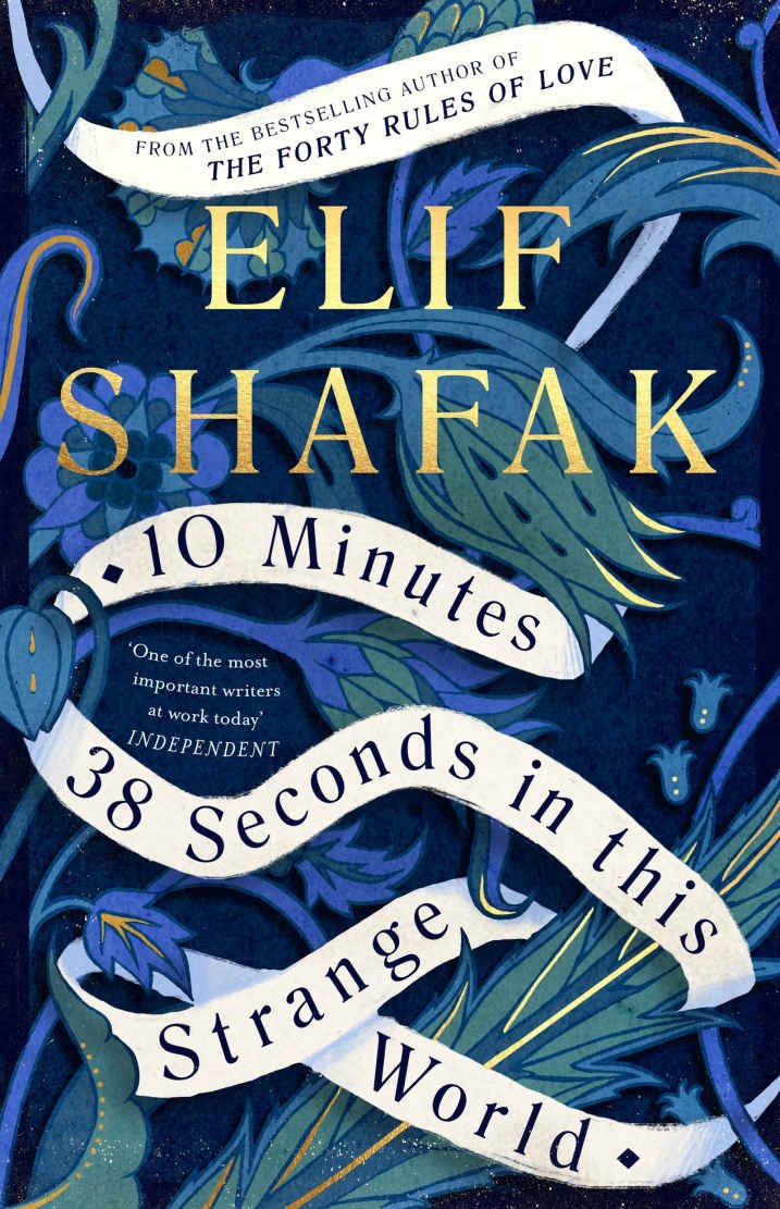 Cover of 10 Minutes 38 Seconds in this Strange World