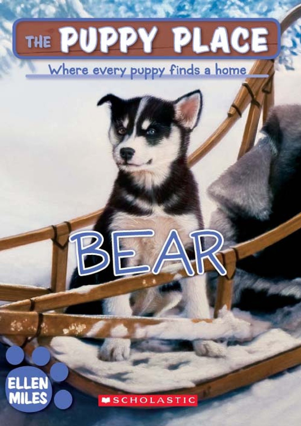 Cover of Bear