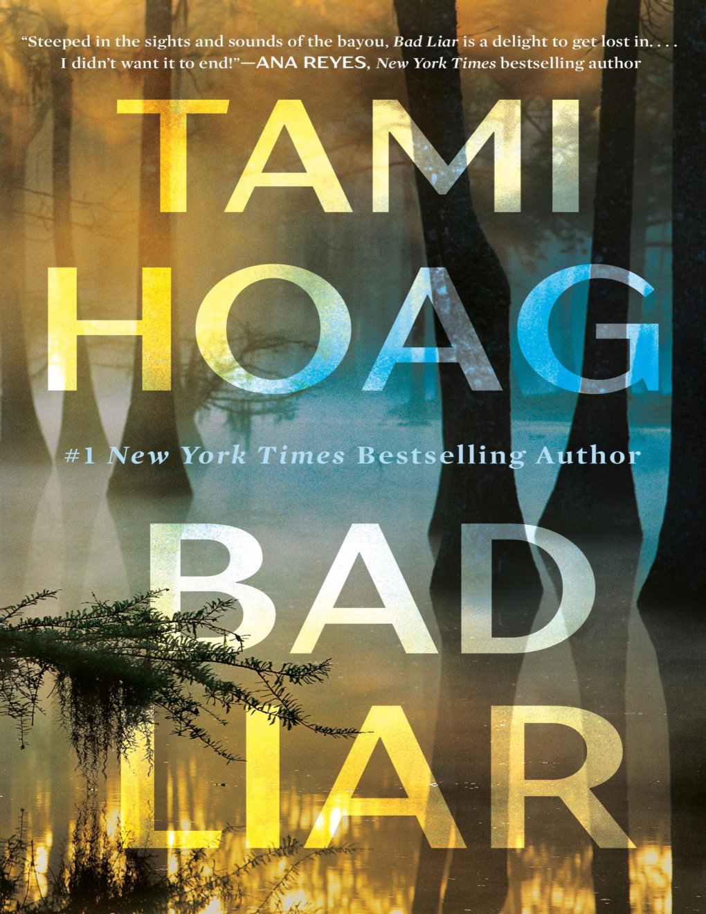Cover of Bad Liar: A Novel
