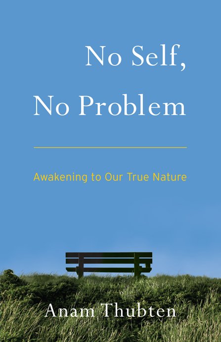 Cover of No Self, No Problem