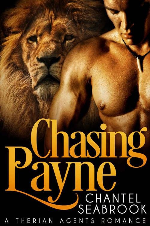 Cover of Chasing Payne