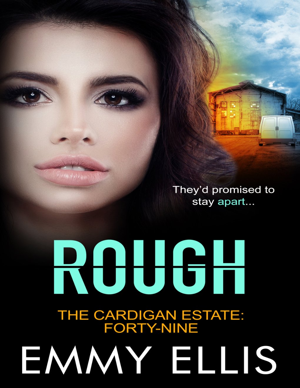 Cover of Rough