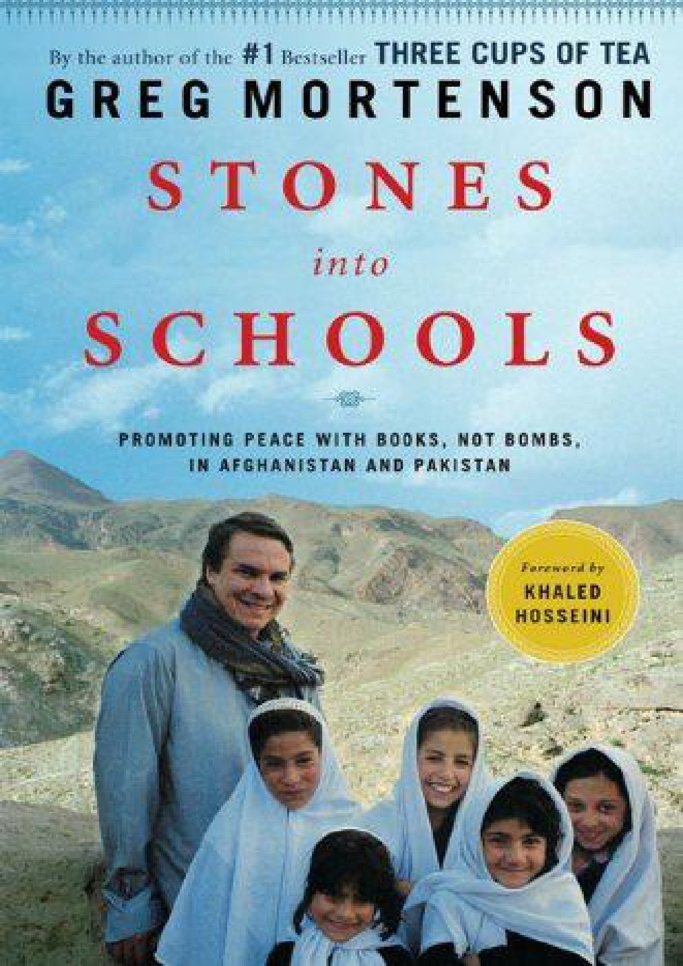 Cover of Stones Into Schools