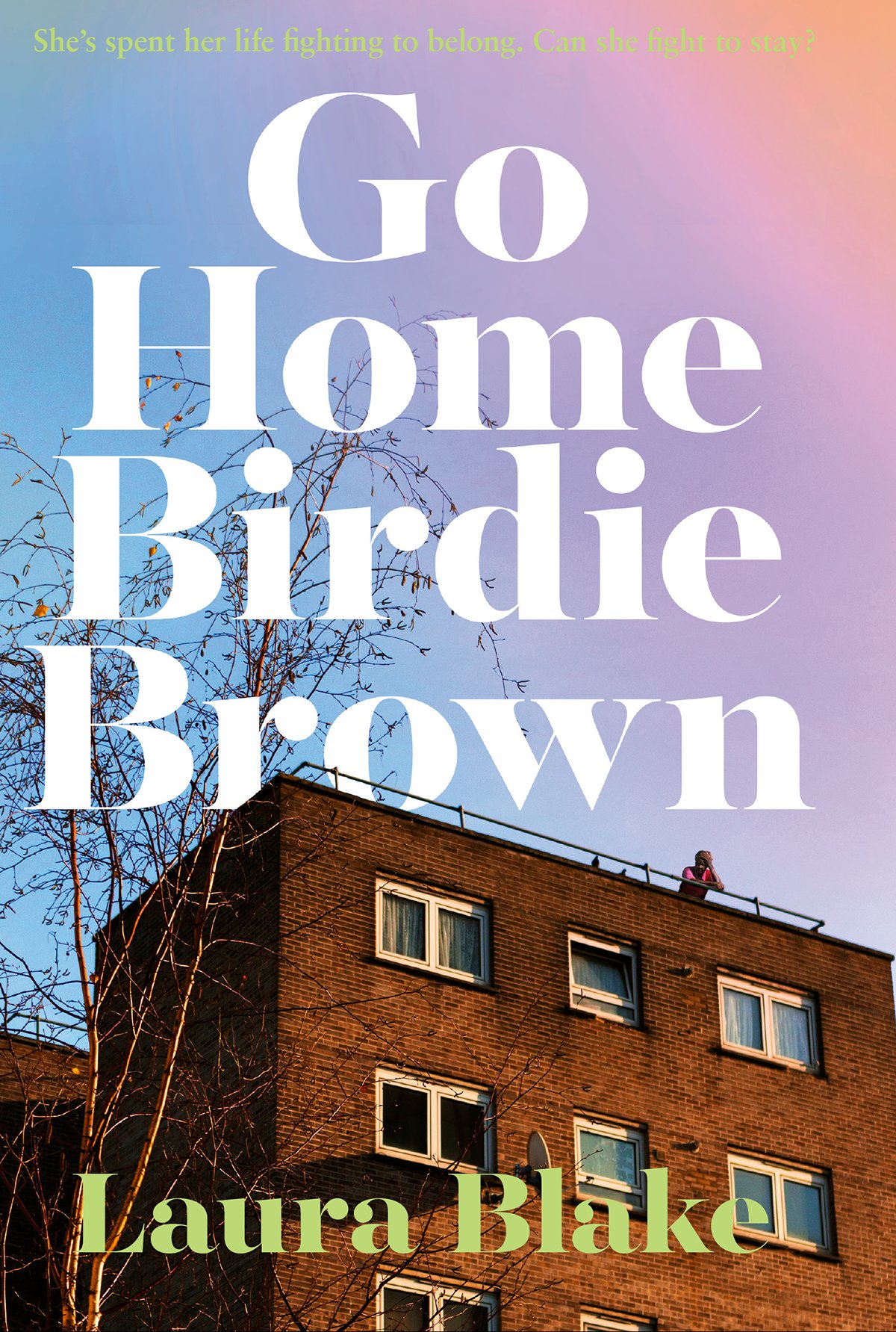 Cover of Go Home Birdie Brown (1956)