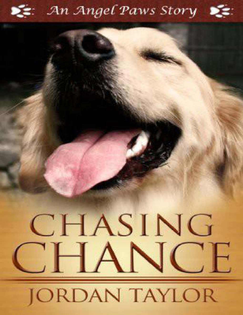 Cover of AP02 - Chasing Chance