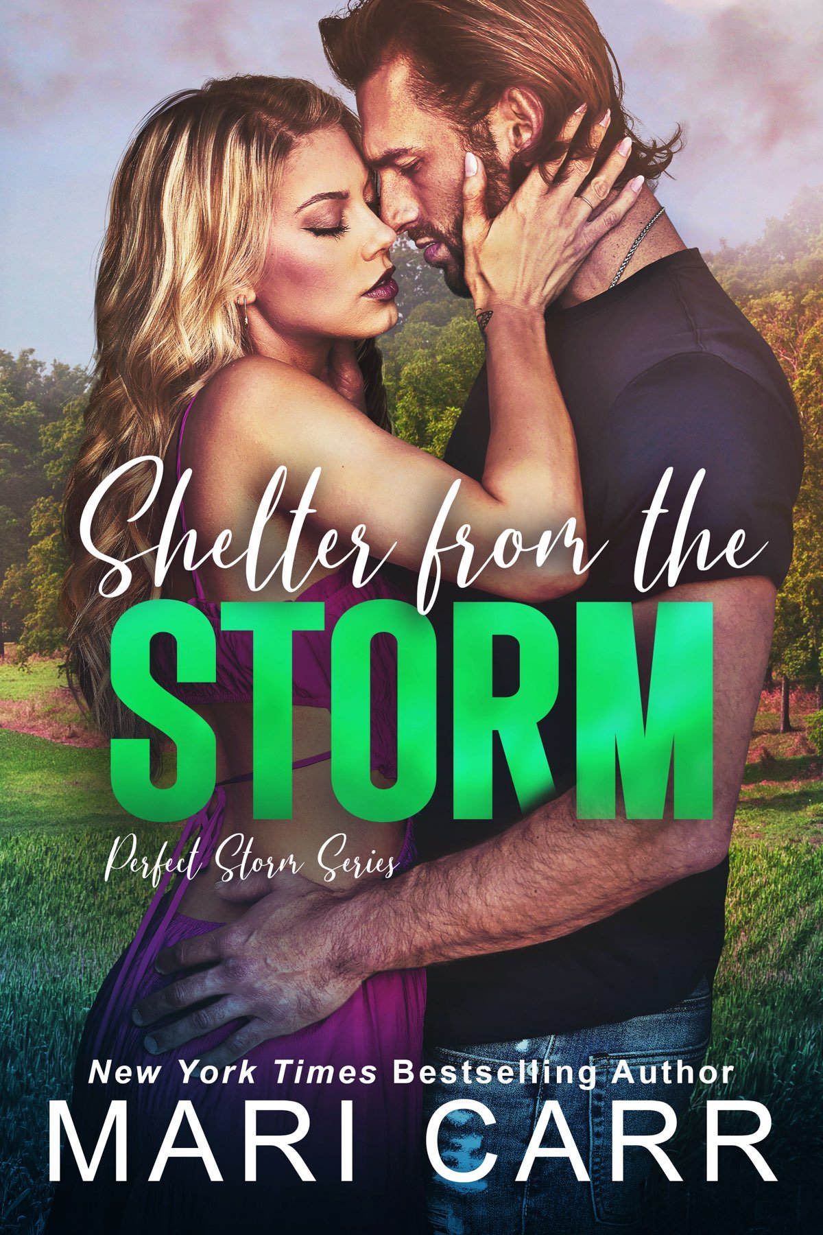 Cover of Shelter from the Storm