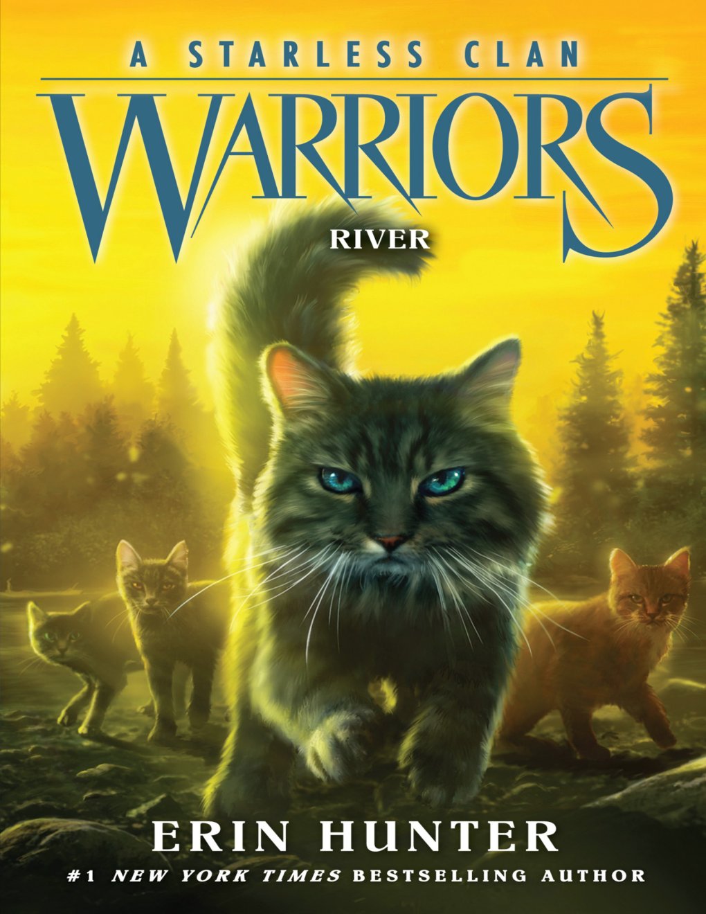 Cover of River