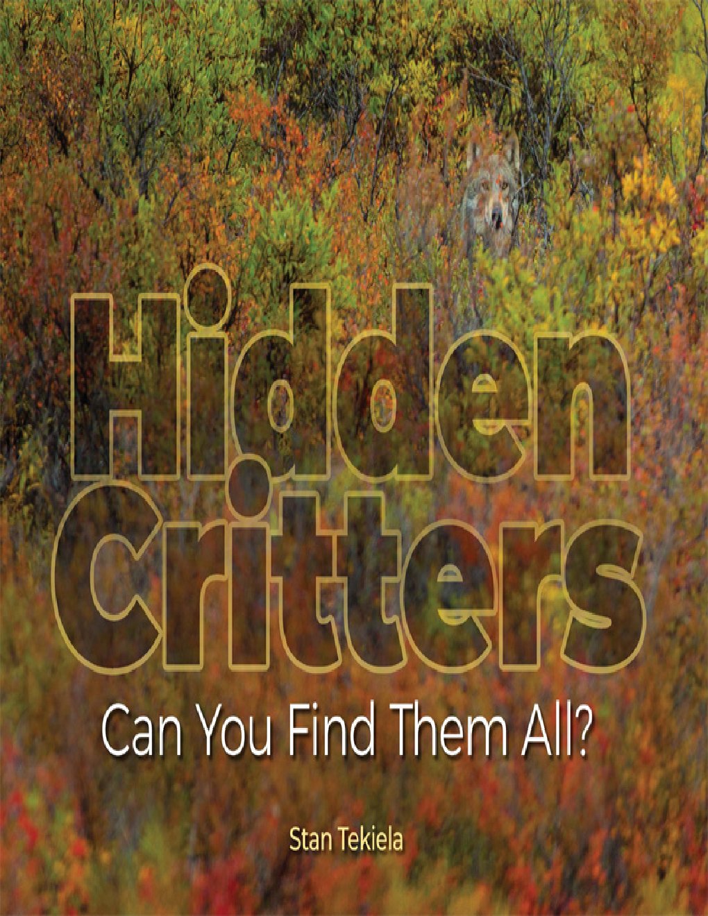 Cover of Hidden Critters (2018)