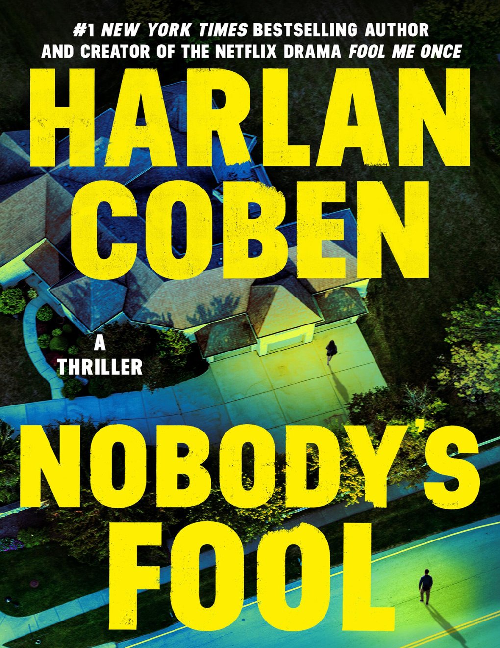 Cover of Nobody's Fool