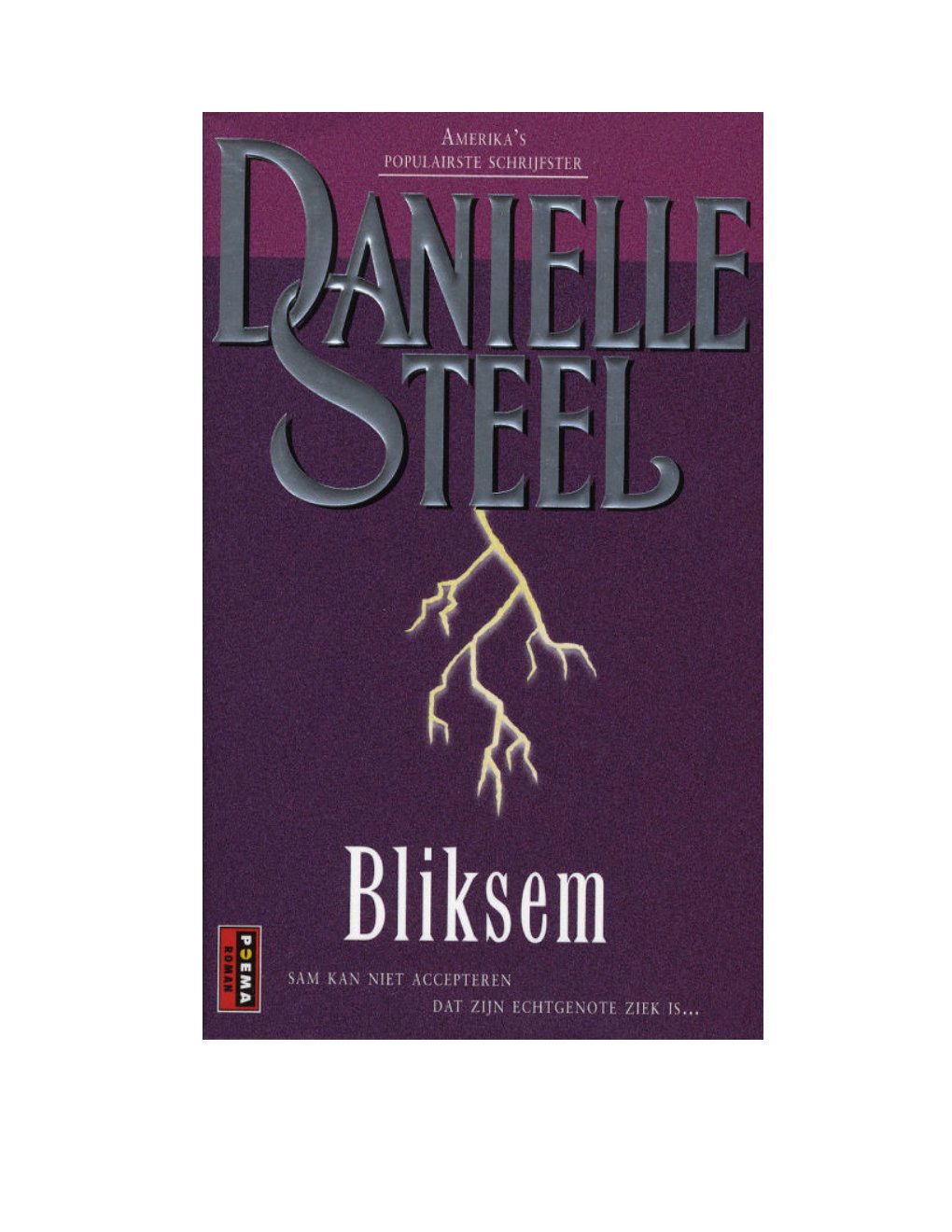 Cover of Bliksem
