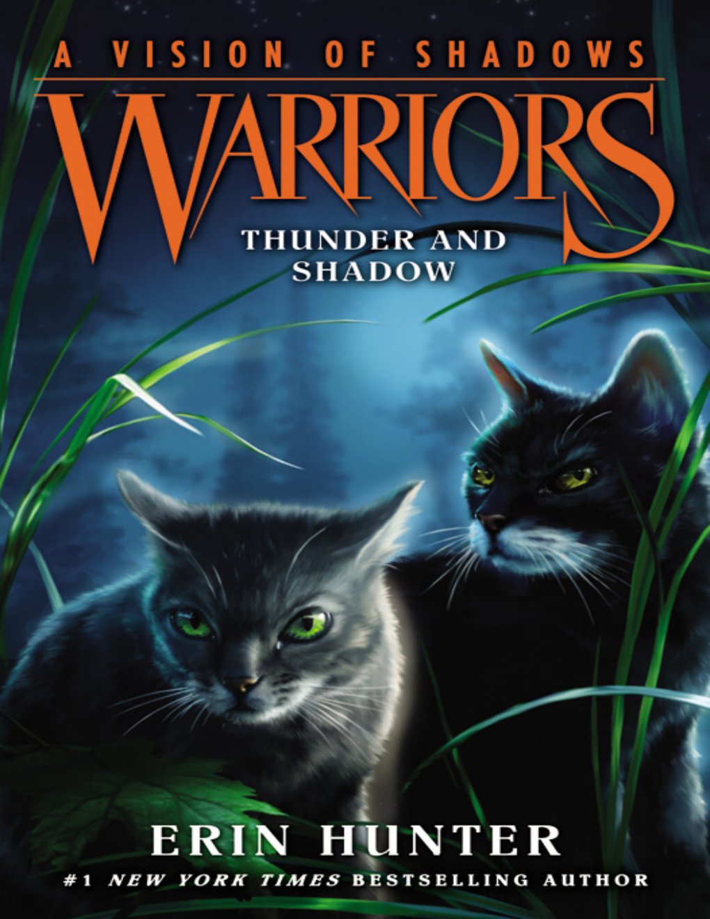Cover of Thunder and Shadow