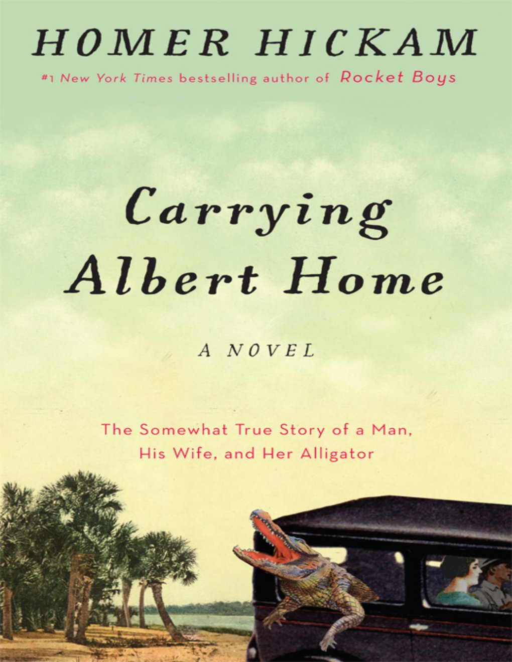 Cover of Carrying Albert Home (2000)