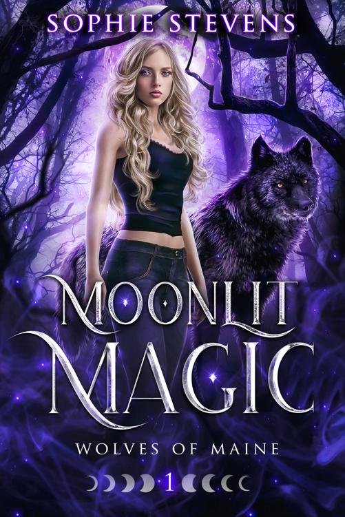 Cover of Moonlit Magic- Wolves of Maine (2024)