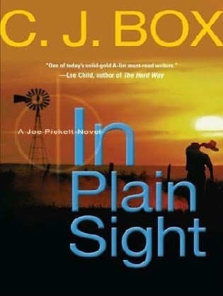 Cover of In Plain Sight