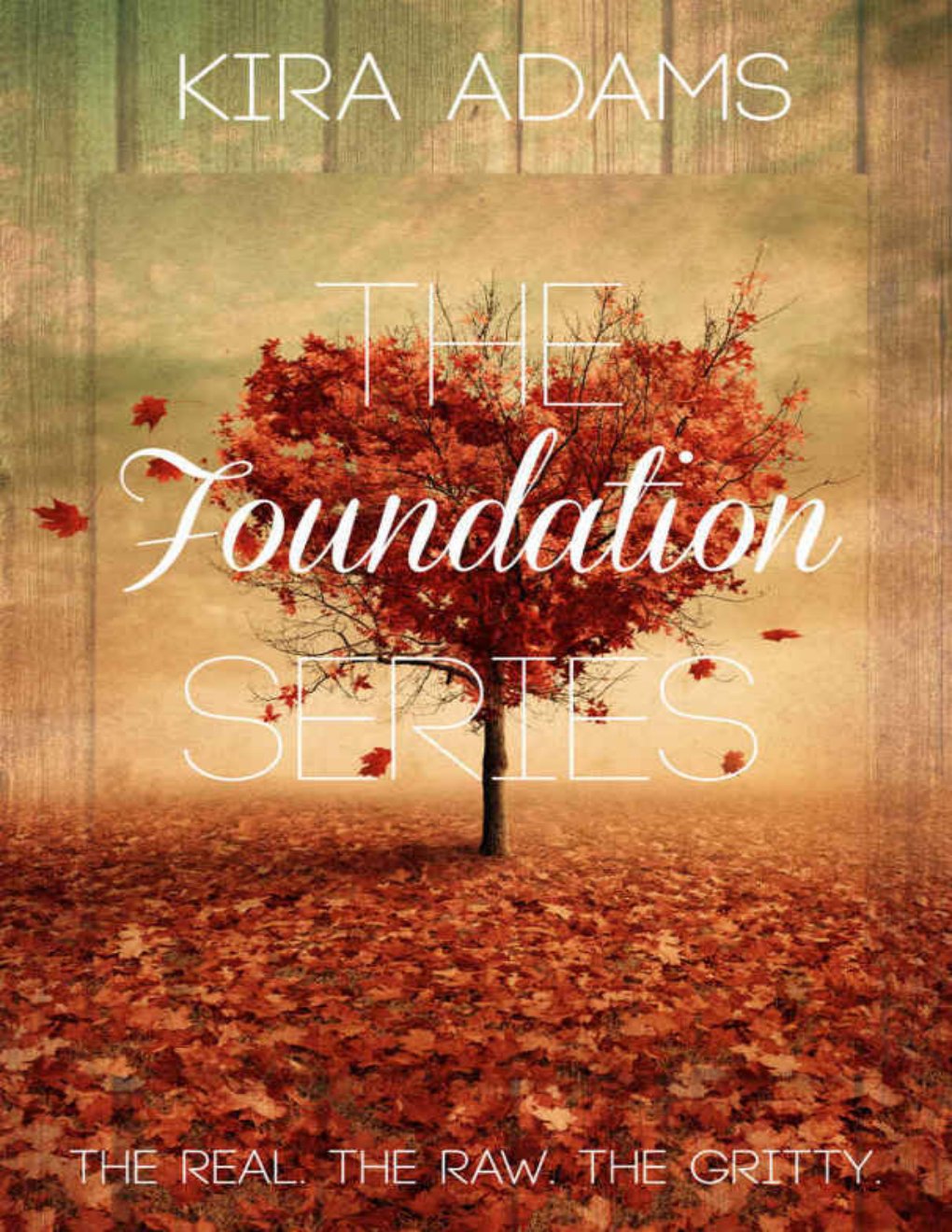 Cover of The Foundation Series Box Set