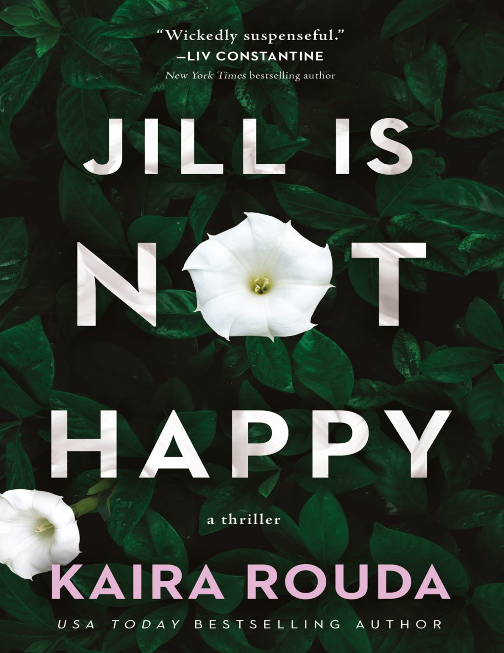 Cover of Jill Is Not Happy