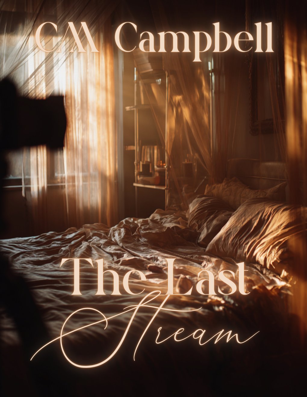 Cover of The Last Stream