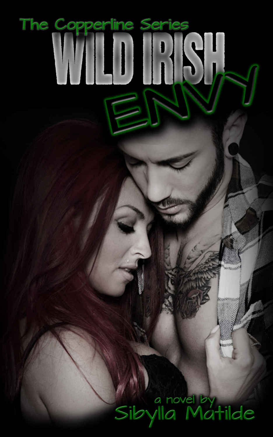 Cover of Wild Irish Envy (2015)