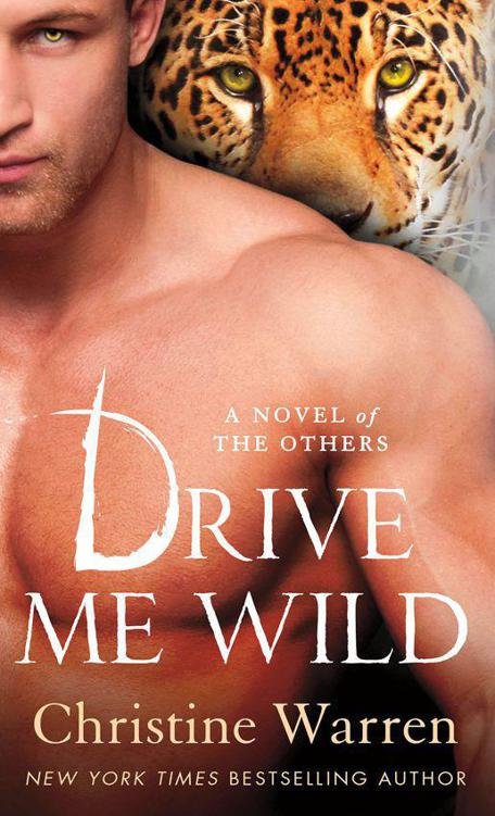 Cover of Drive Me Wild (The Others)