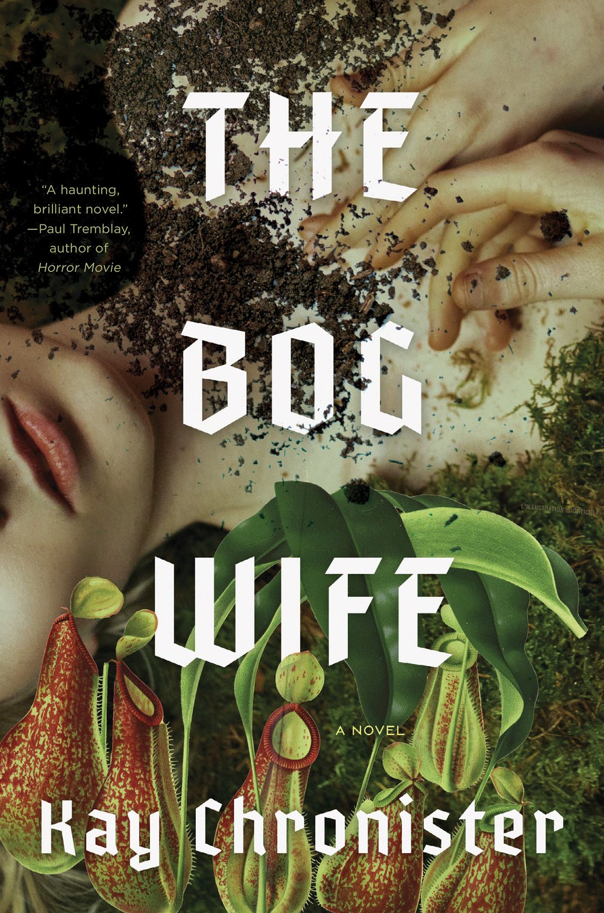 Cover of The Bog Wife