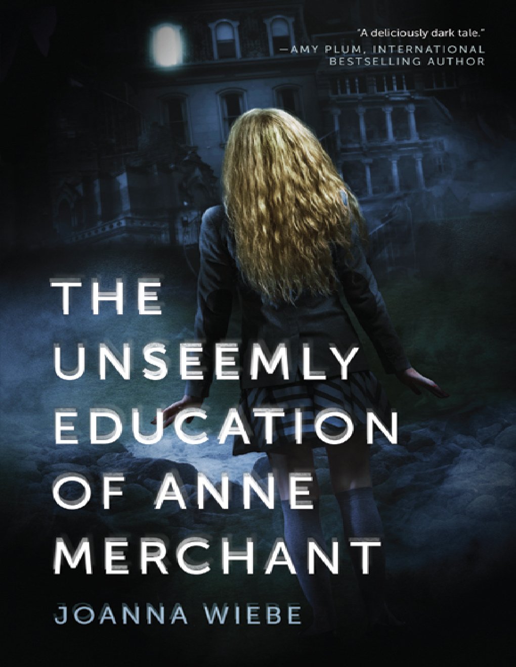 Cover of The Unseemly Education of Anne Merchant