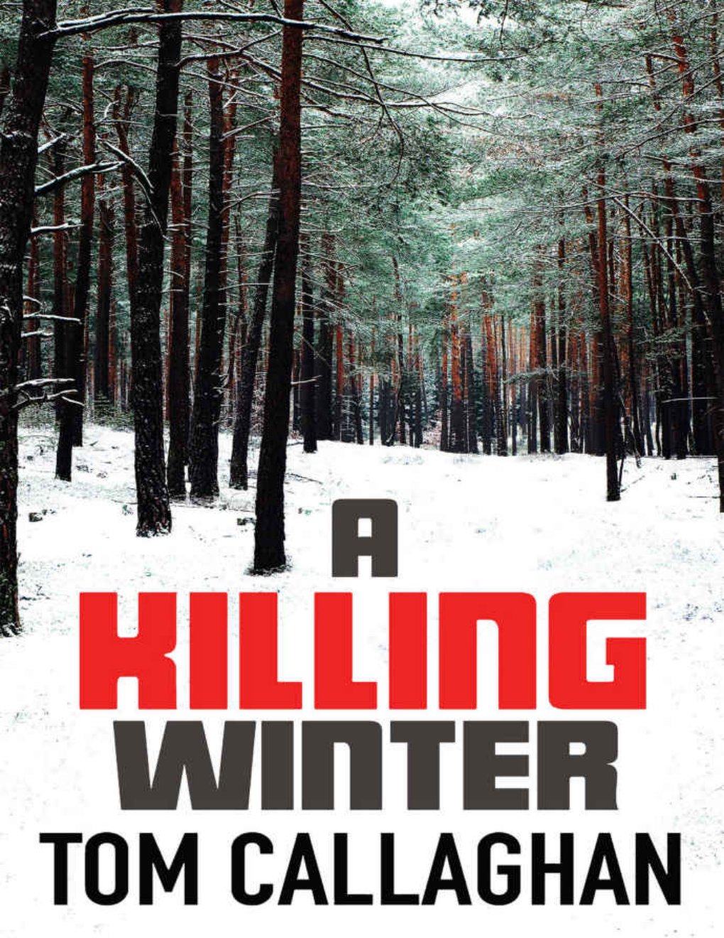 Cover of A Killing Winter (1988)