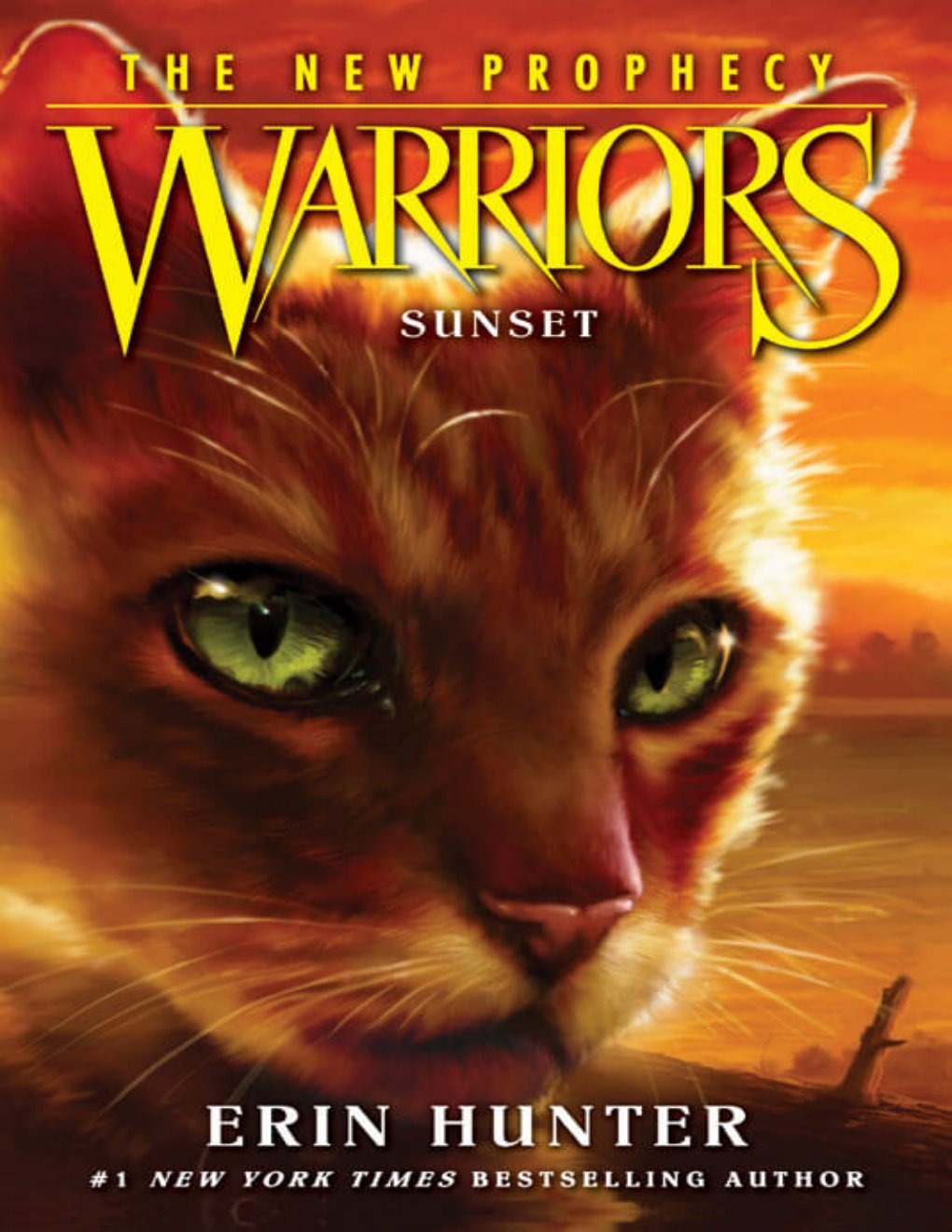 Cover of Sunset