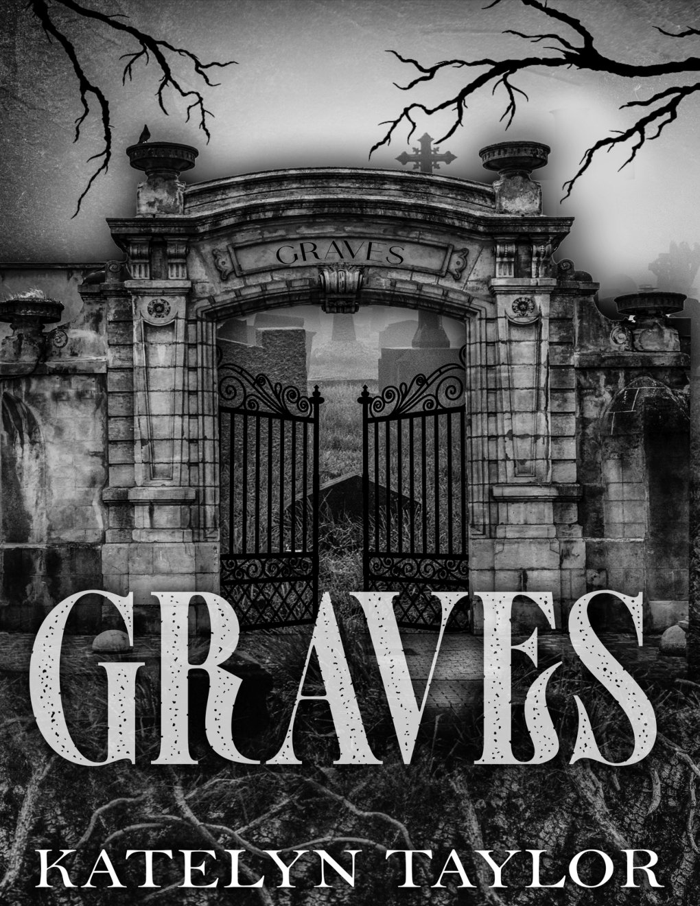Cover of Graves