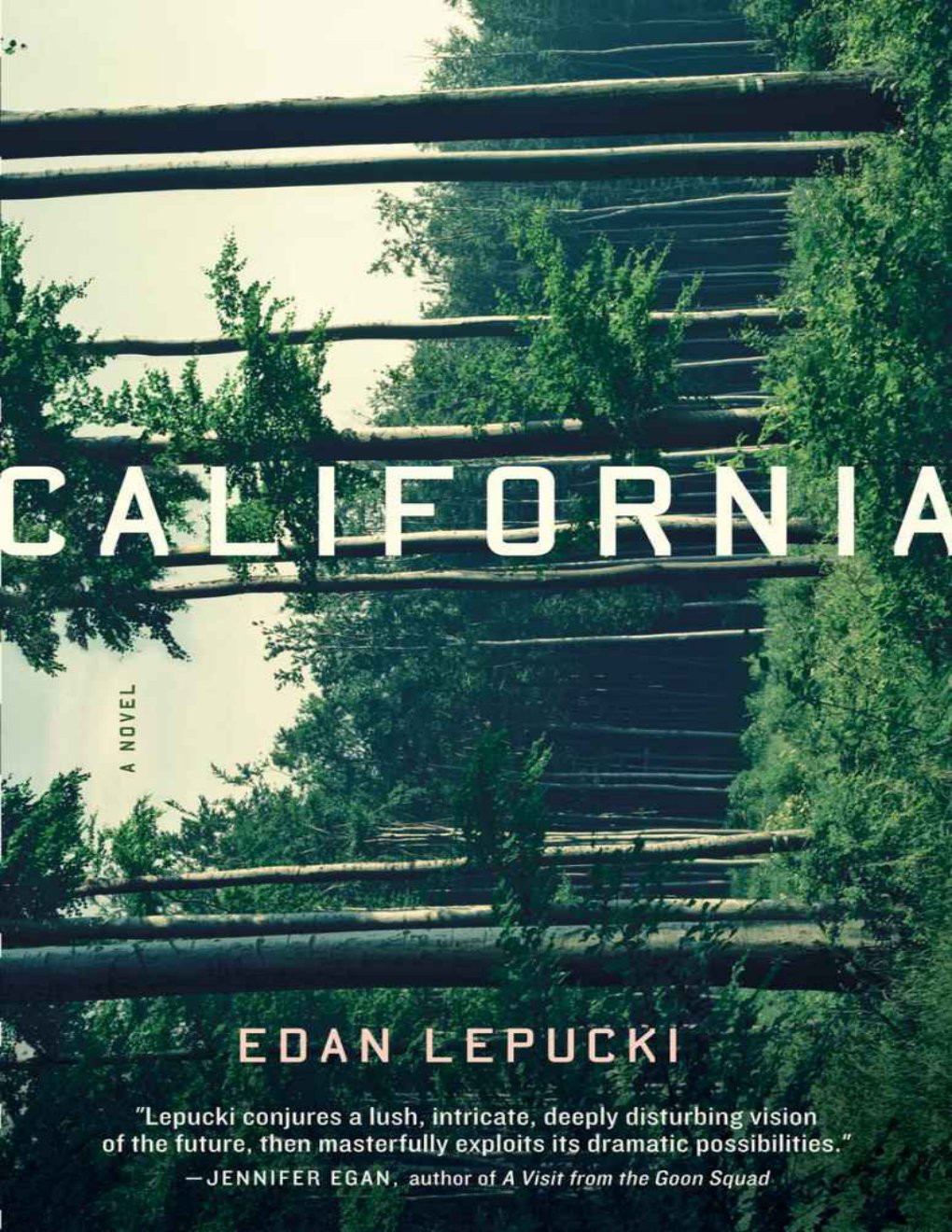 Cover of California: A Novel