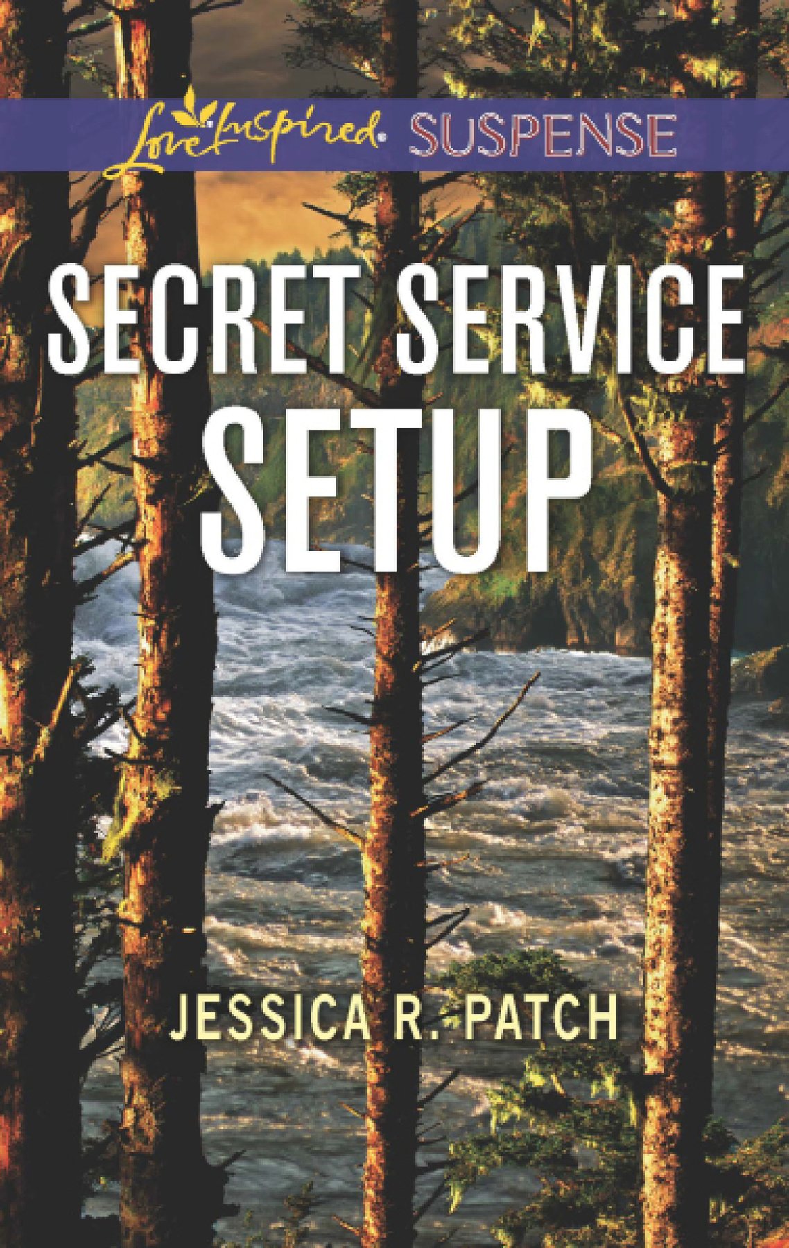 Cover of Secret Service Setup