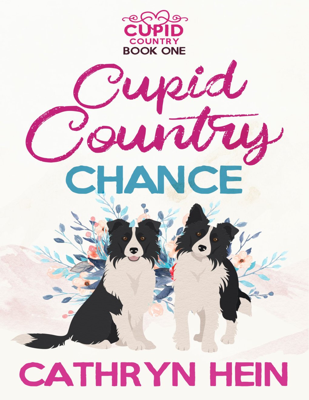 Cover of Cupid Country Chance