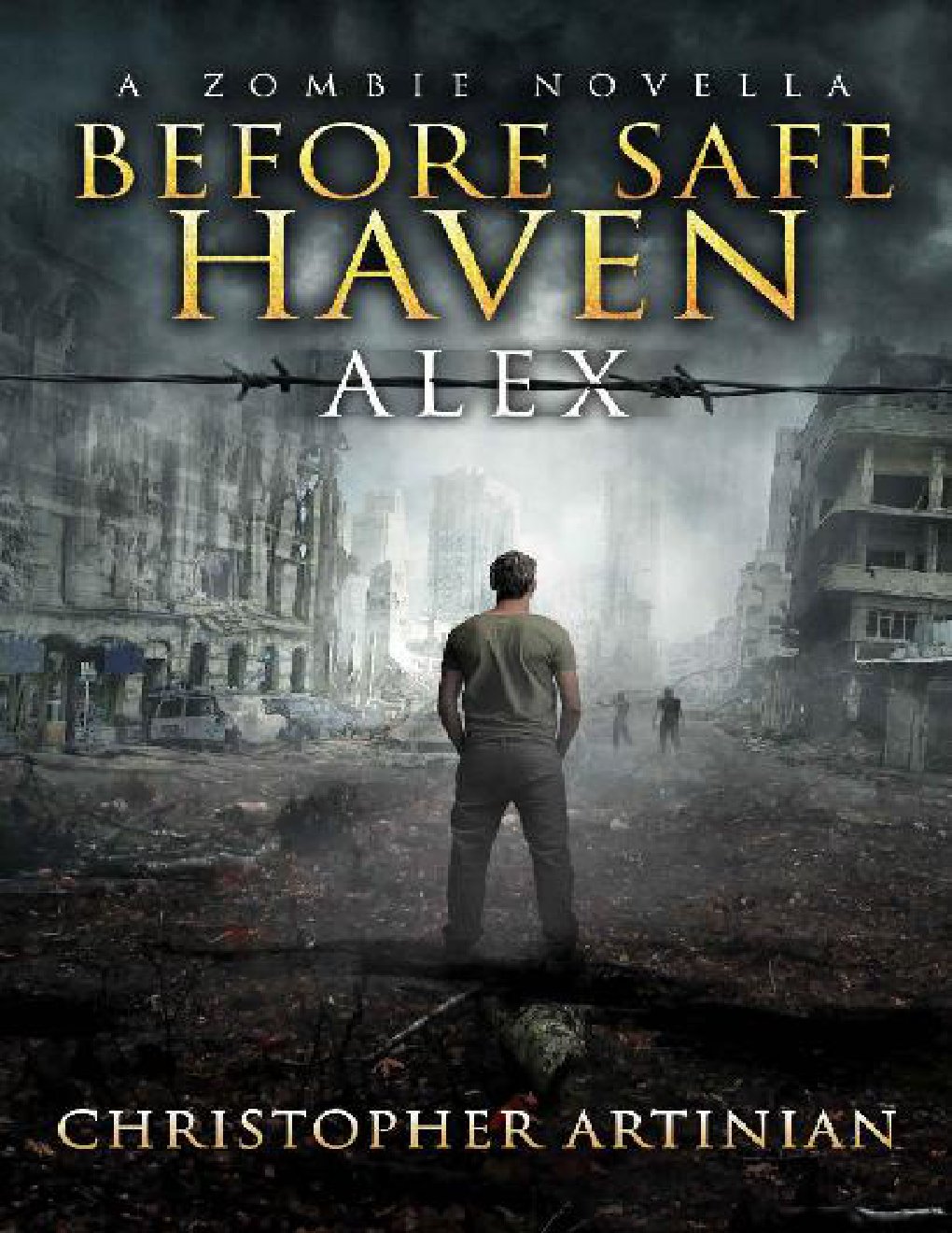 Cover of Safe Haven - Before Safe Haven (2004)