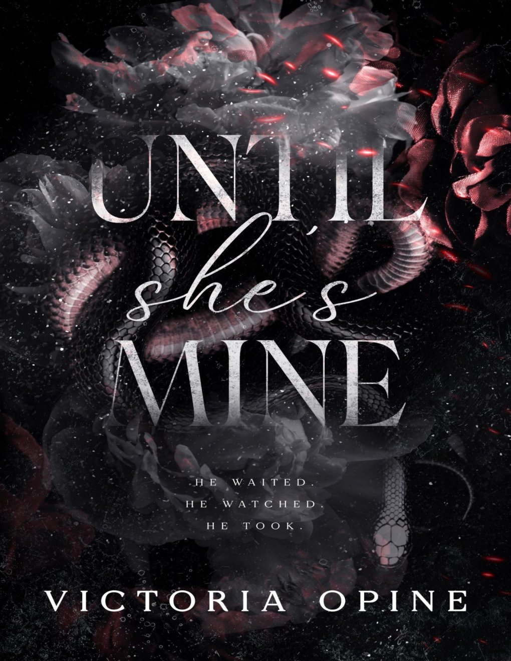 Cover of Until She’s Mine: A Dark Romance