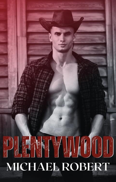 Cover of Plentywood