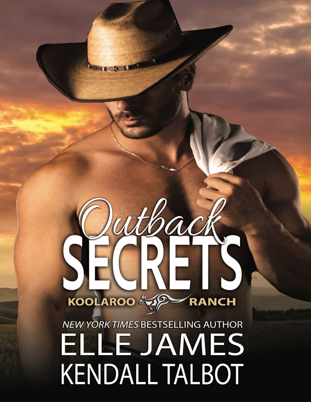 Cover of OUTBACK SECRETS