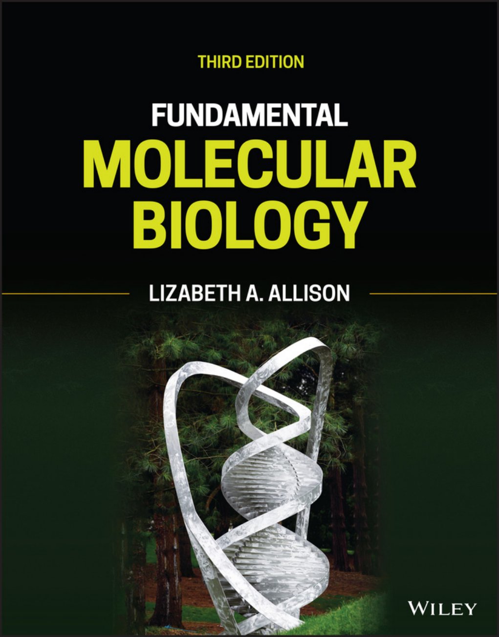 Cover of Lizabeth A Allison