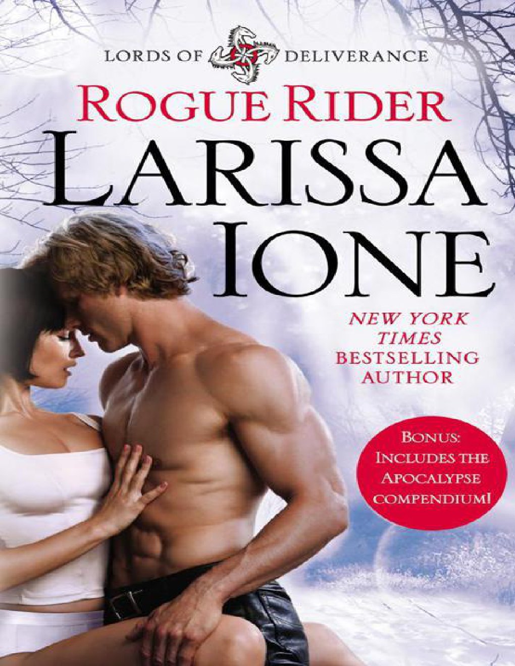 Cover of Rogue Rider