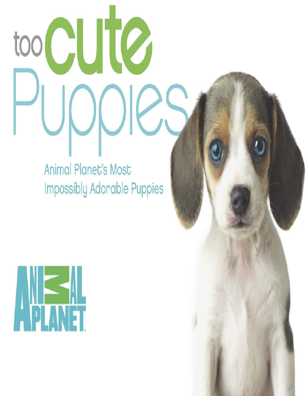 Cover of Too Cute Puppies