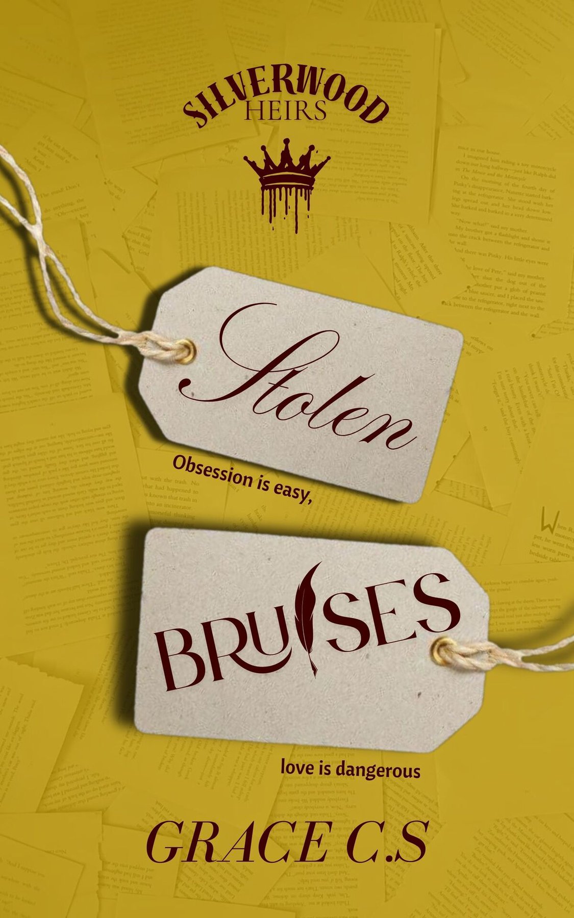 Cover of Stolen Bruises
