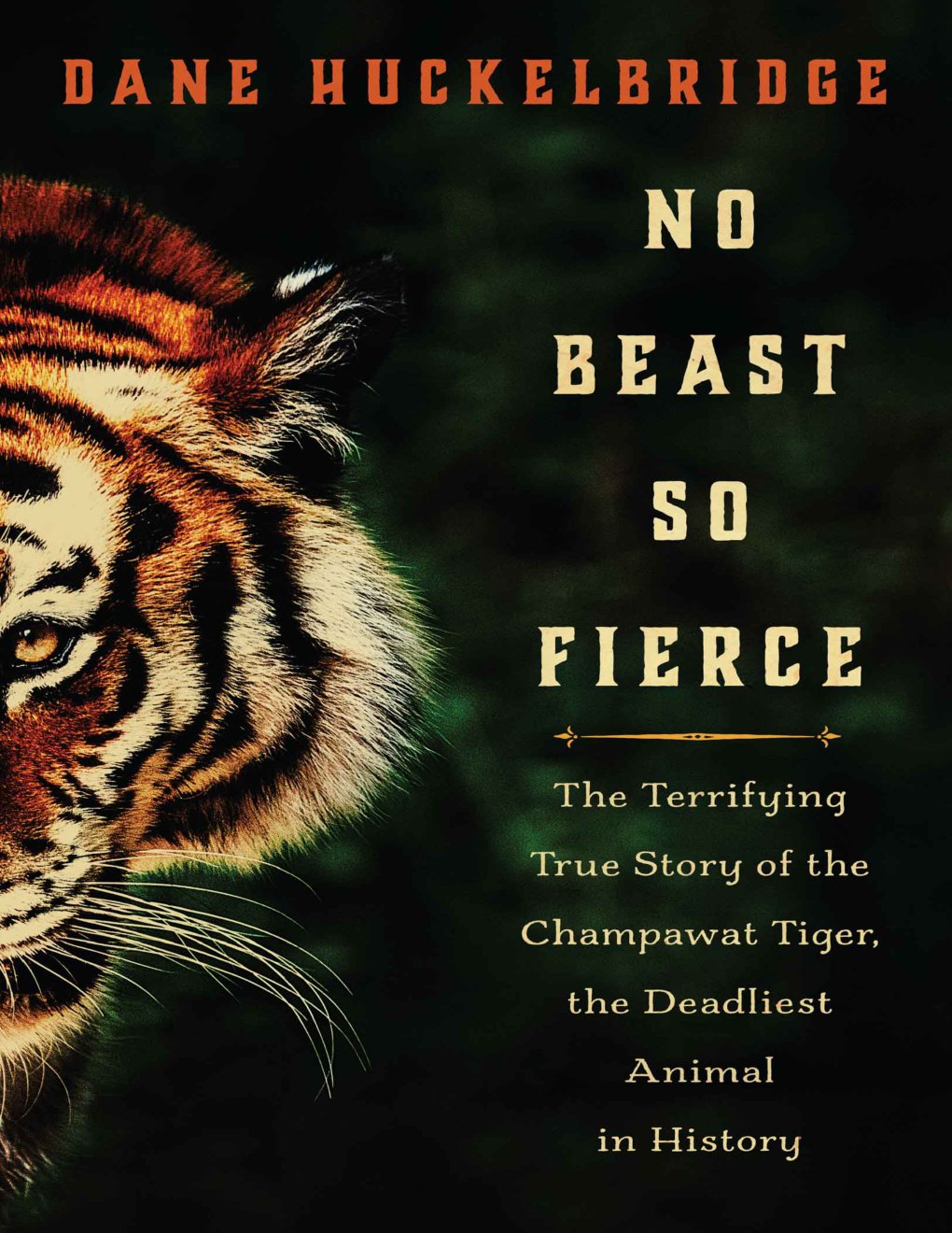 Cover of No Beast So Fierce