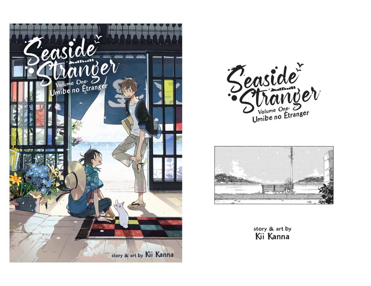 Cover of Seaside Stranger