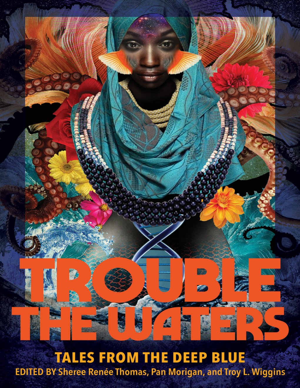 Cover of Trouble the Waters