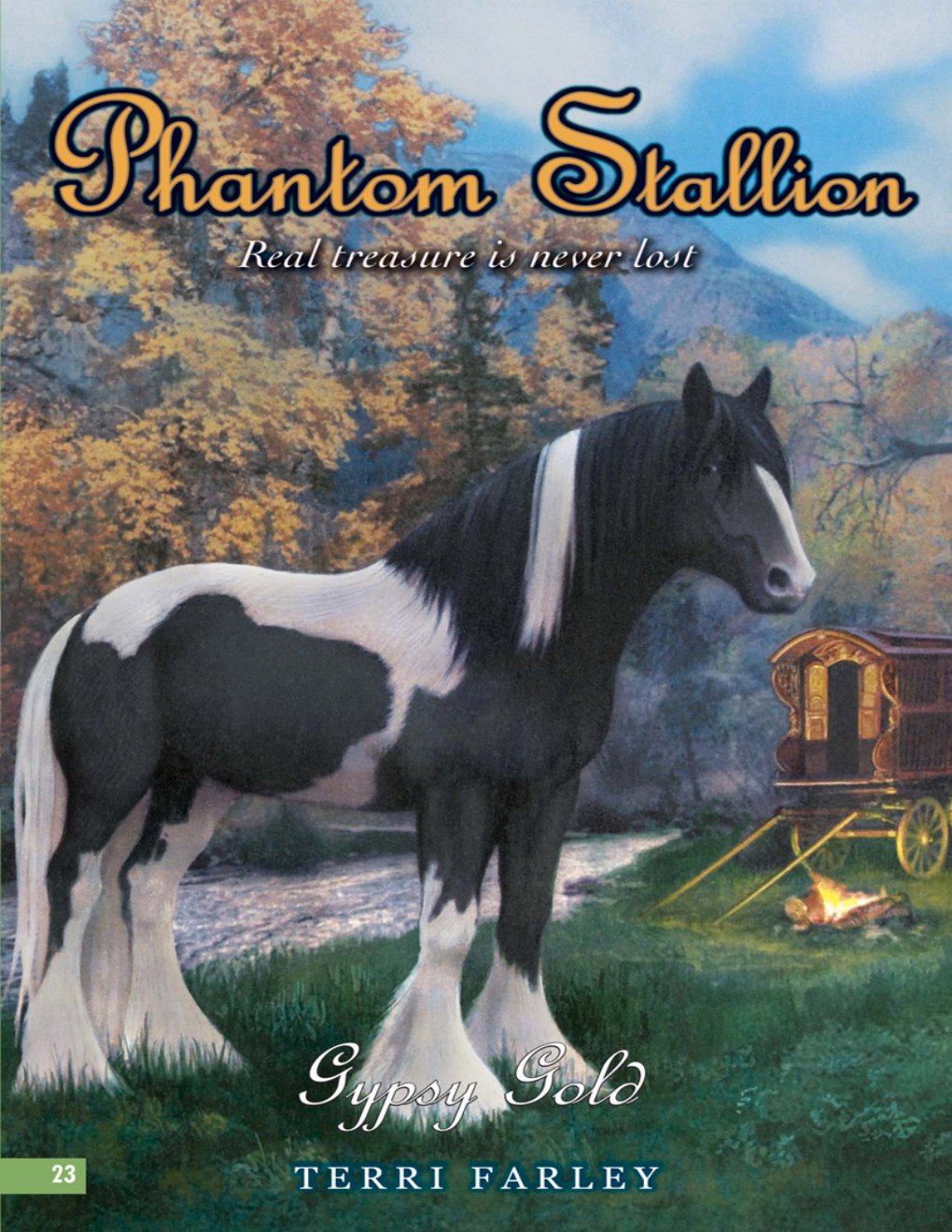 Cover of Gypsy Gold
