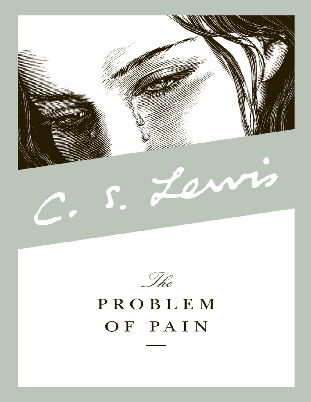 Cover of The Problem of Pain
