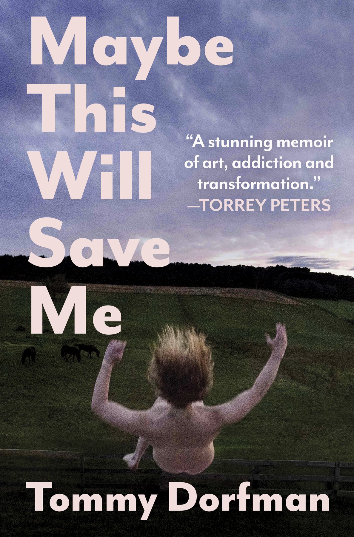 Cover of Maybe This Will Save Me